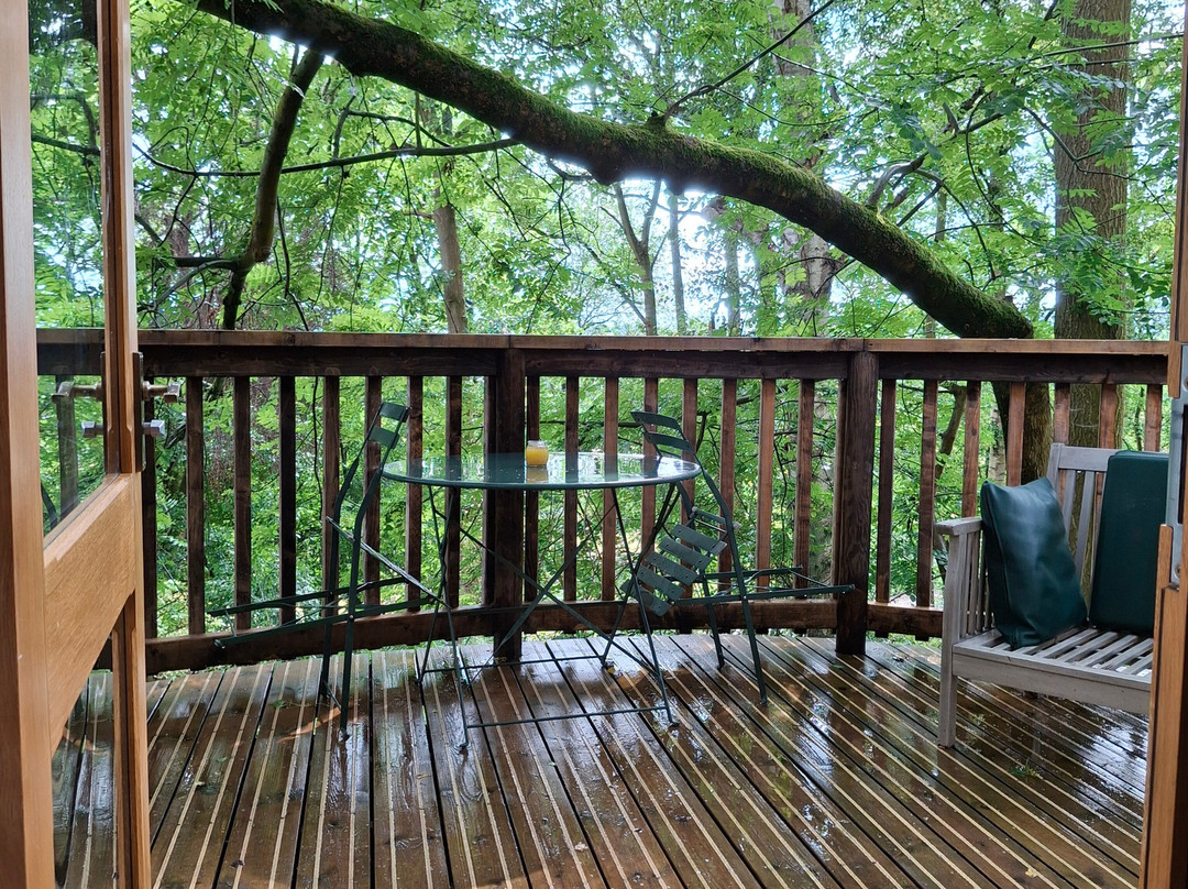 Wildhive Callow Hall主图