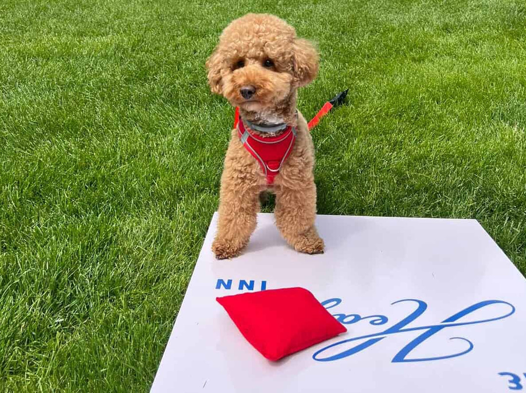 The Hedges Inn East Hampton主图