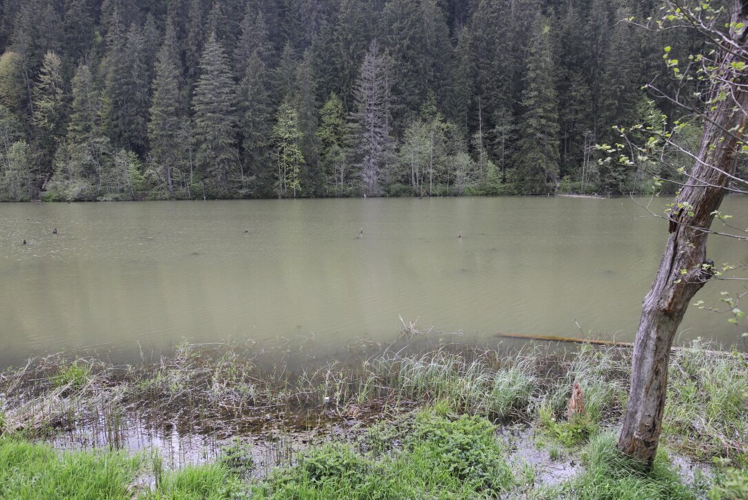 Red Lake-Lacu Rosu必去景点