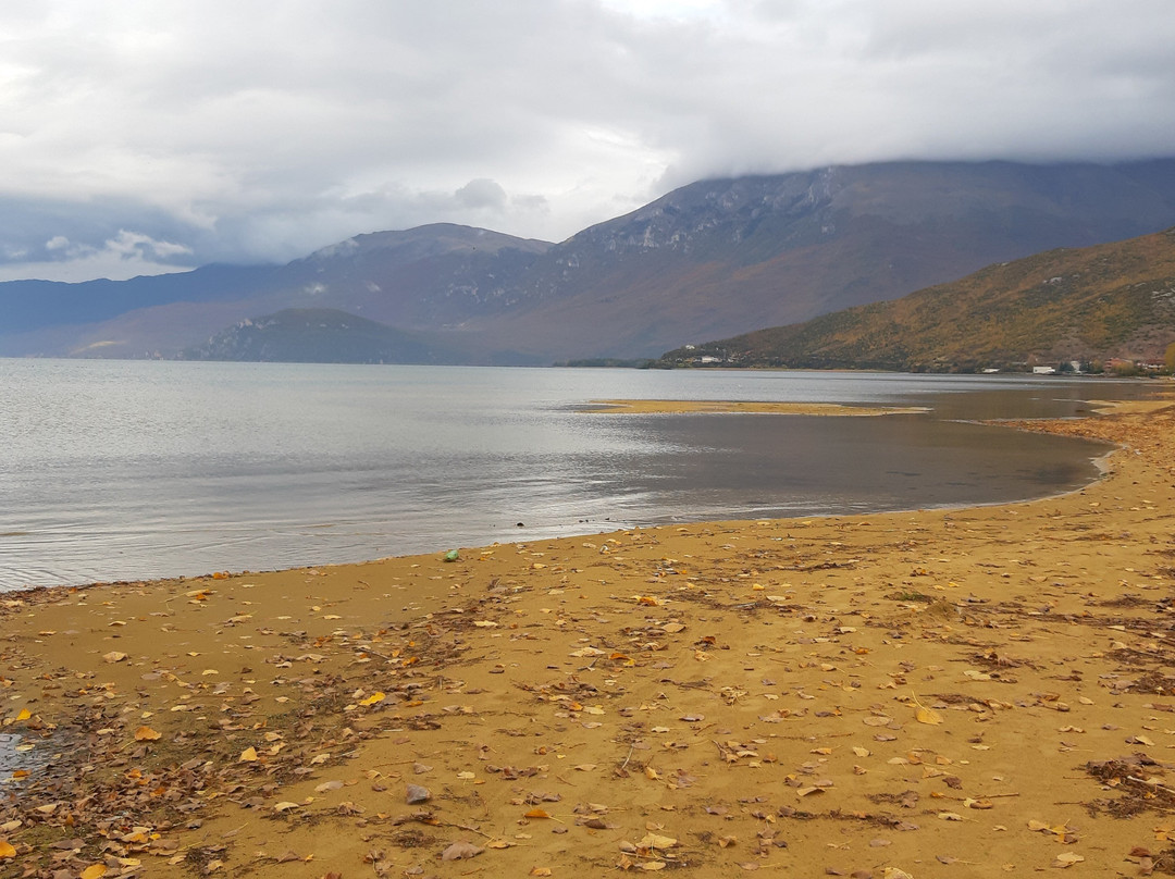 Driloni National Park-Pogradec必去景点