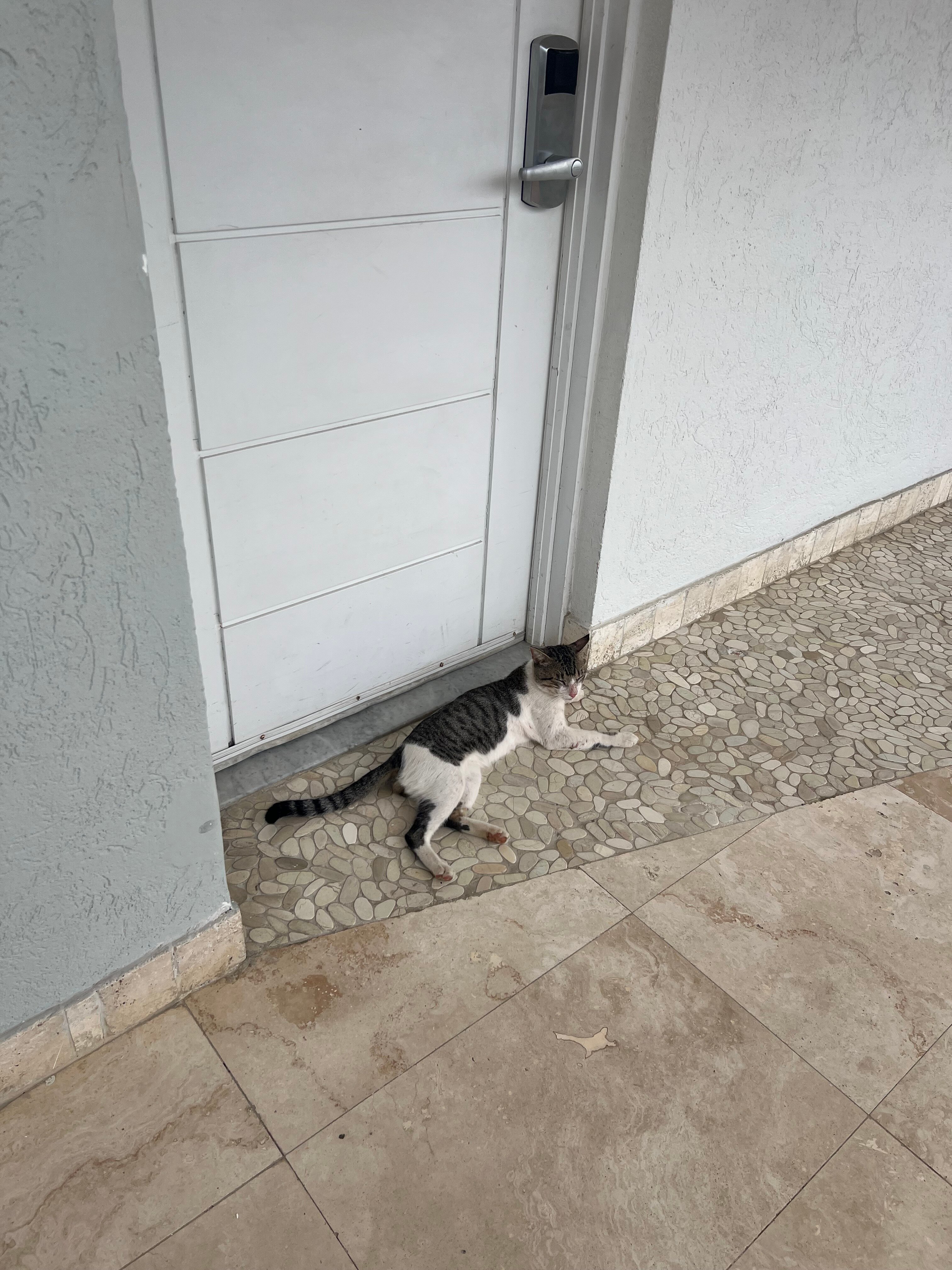 Sandals Montego Bay-浴室