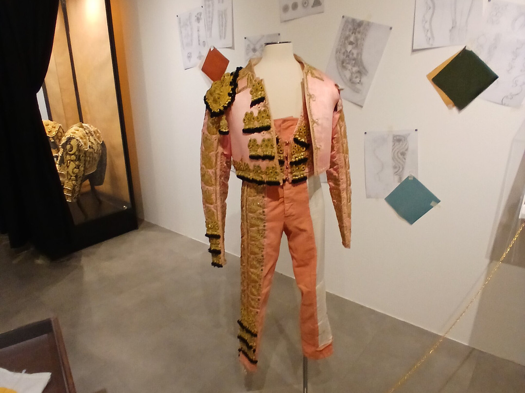Musée des cultures taurines-尼姆必去景点