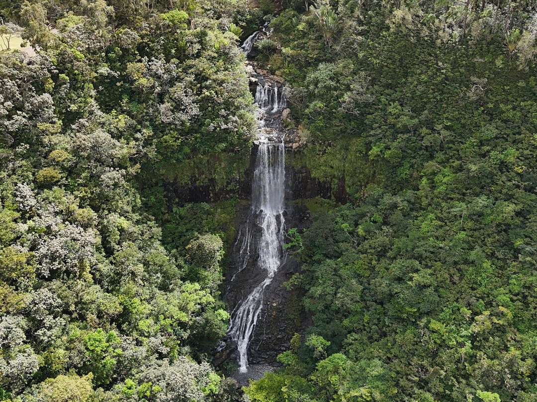 Alexandra Falls-Union Park必去景点