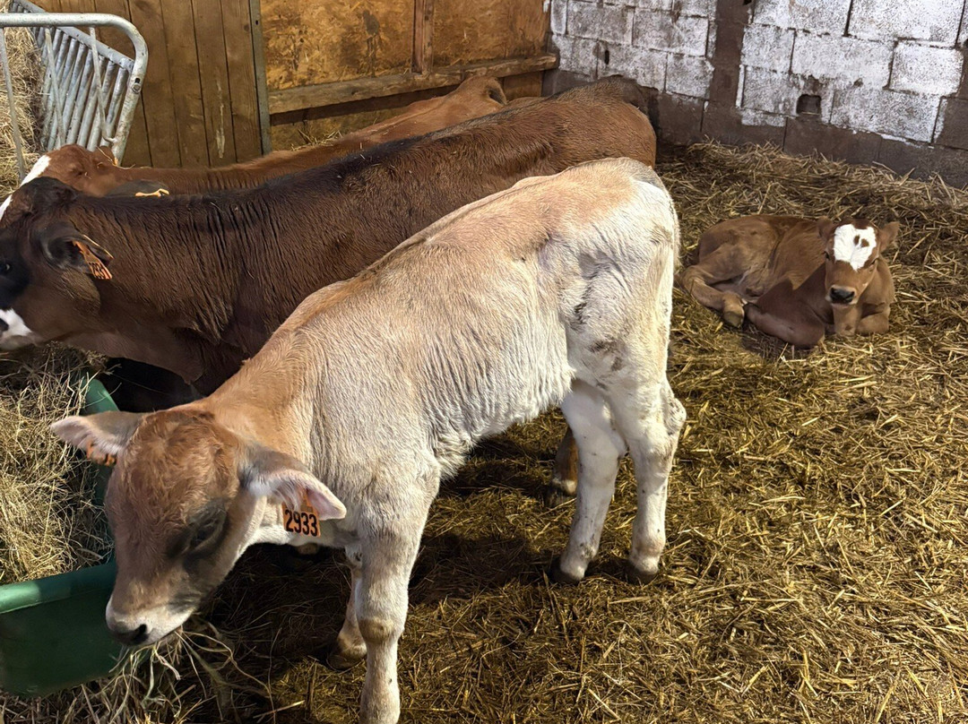 La Ferme du Rialet-La Llagonne必去景点