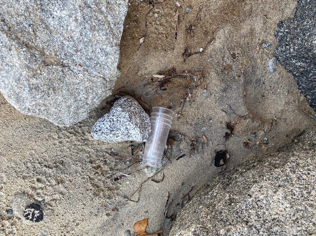 Blanca Beach Club By Valentour-特罗佩阿必去景点