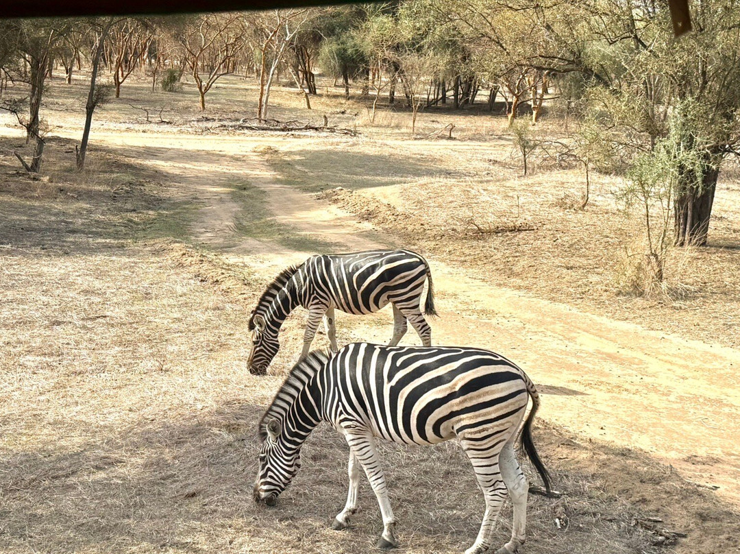 Reserve De Bandia-Saly必去景点