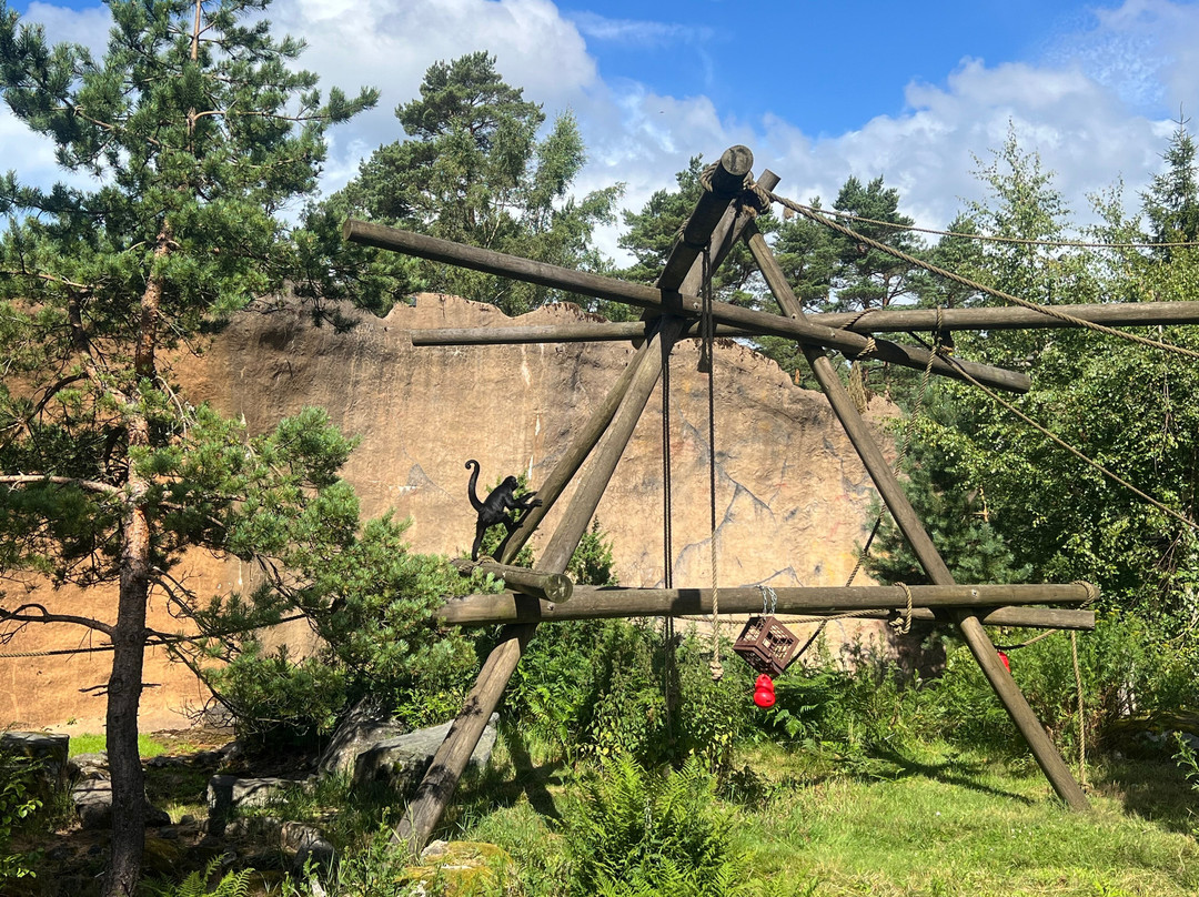 Dyreparken-克里斯蒂安桑必去景点