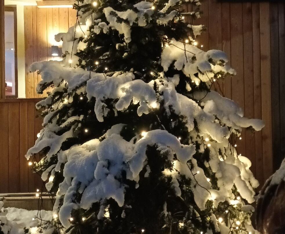 Hotel Schneeberger主图