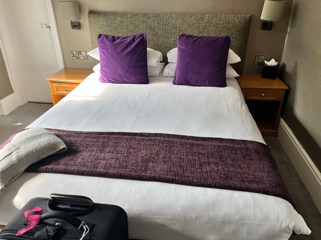 The Ardington Hotel主图