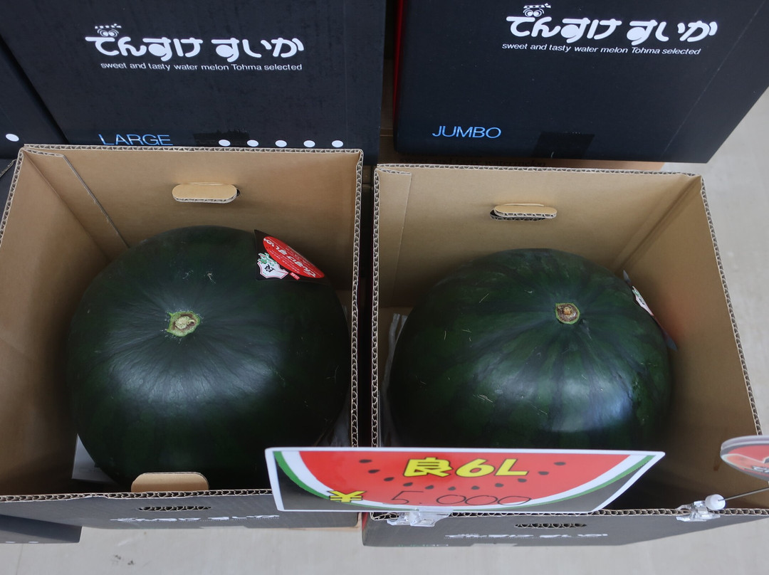 Michi-no-Eki Toma-当麻町 必去景点