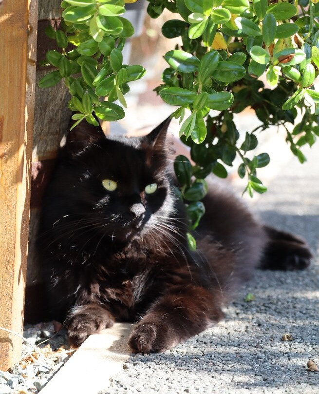 Oriel Ger-Y-Fenai-Llanfairpwllgwyngyll必去景点