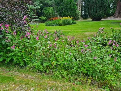 狩猎塔酒店-浴室