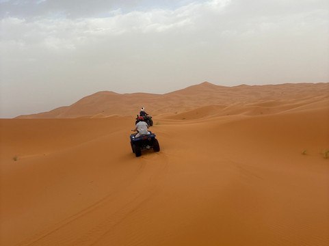 Riad Desert Camel主图