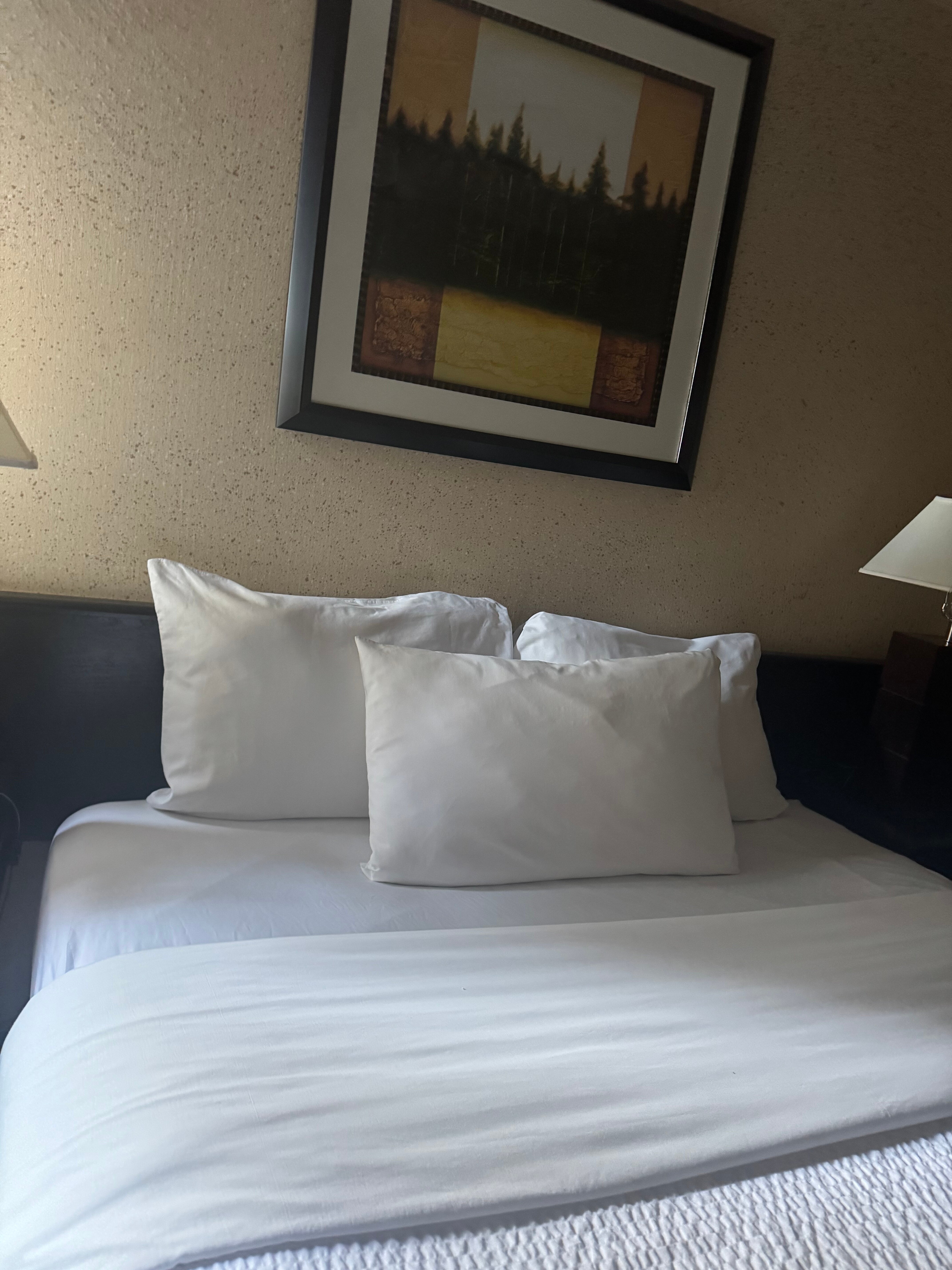 温哥华市中心罗布森街-迪维亚苏特拉套房酒店-官方