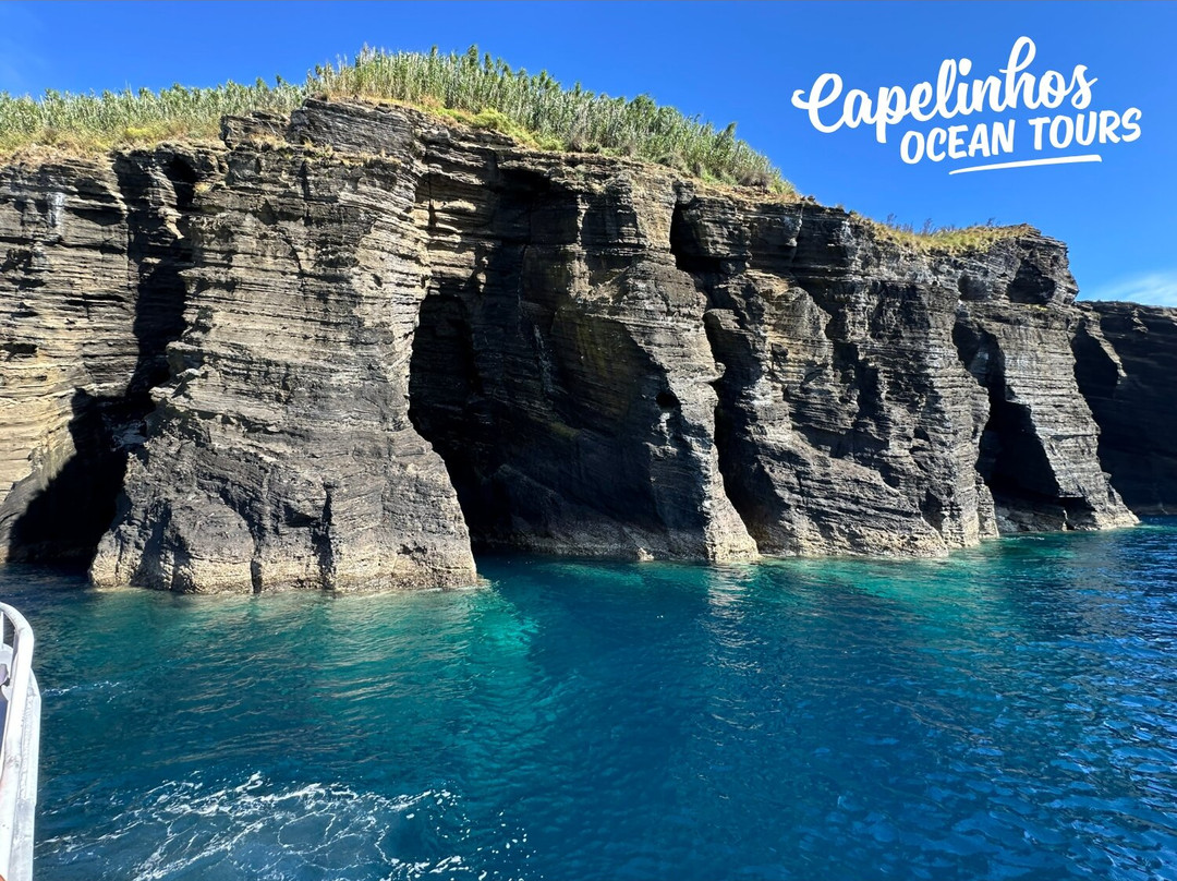 Capelinhos Ocean Tours-奥尔塔必去景点