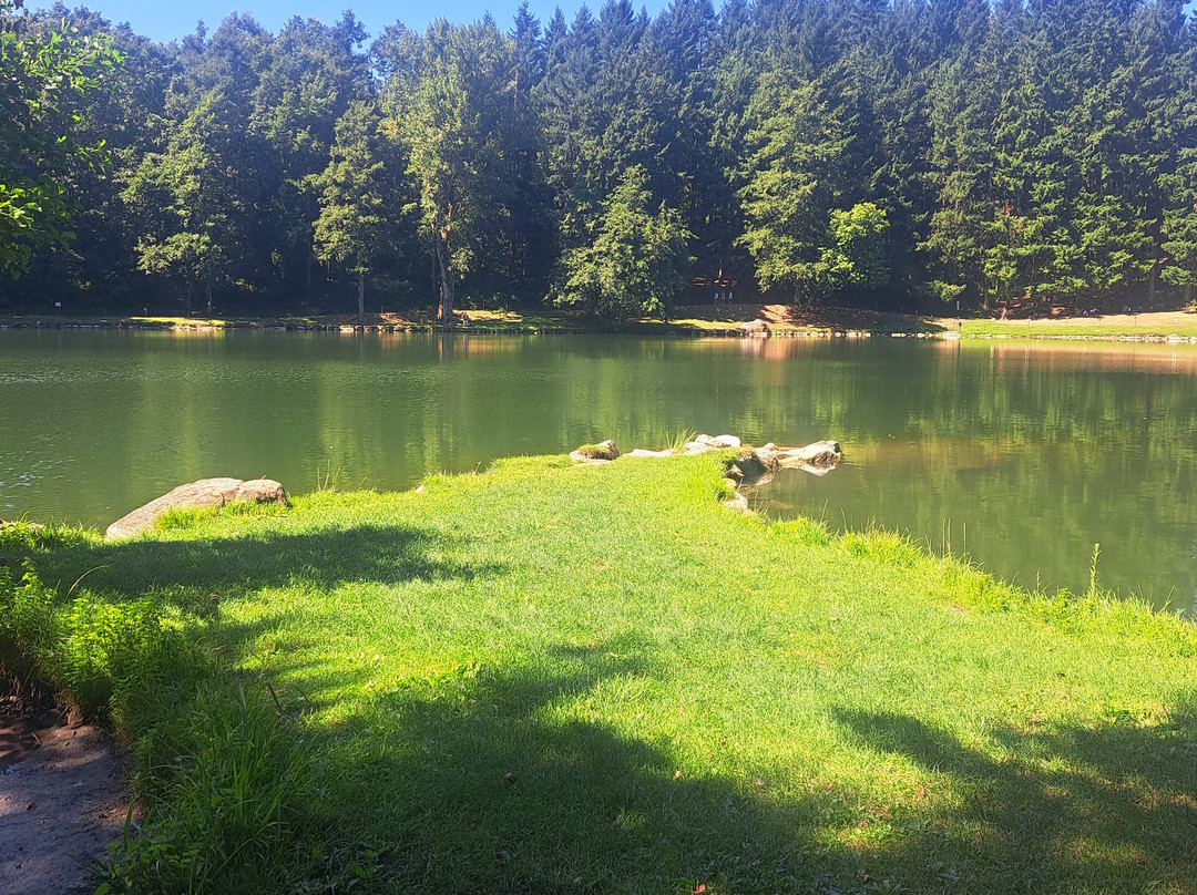 Lago Pontini-Bagno di Romagna必去景点