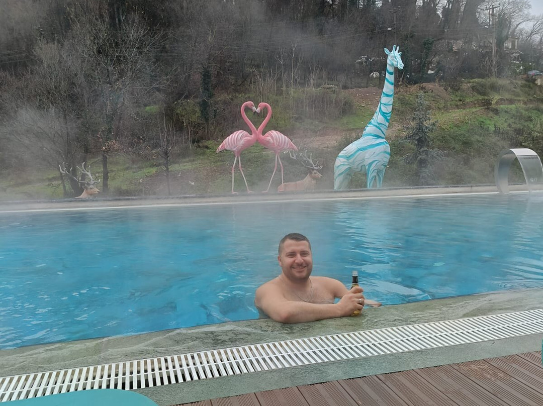 Vital Thermal Hotel & Spa主图