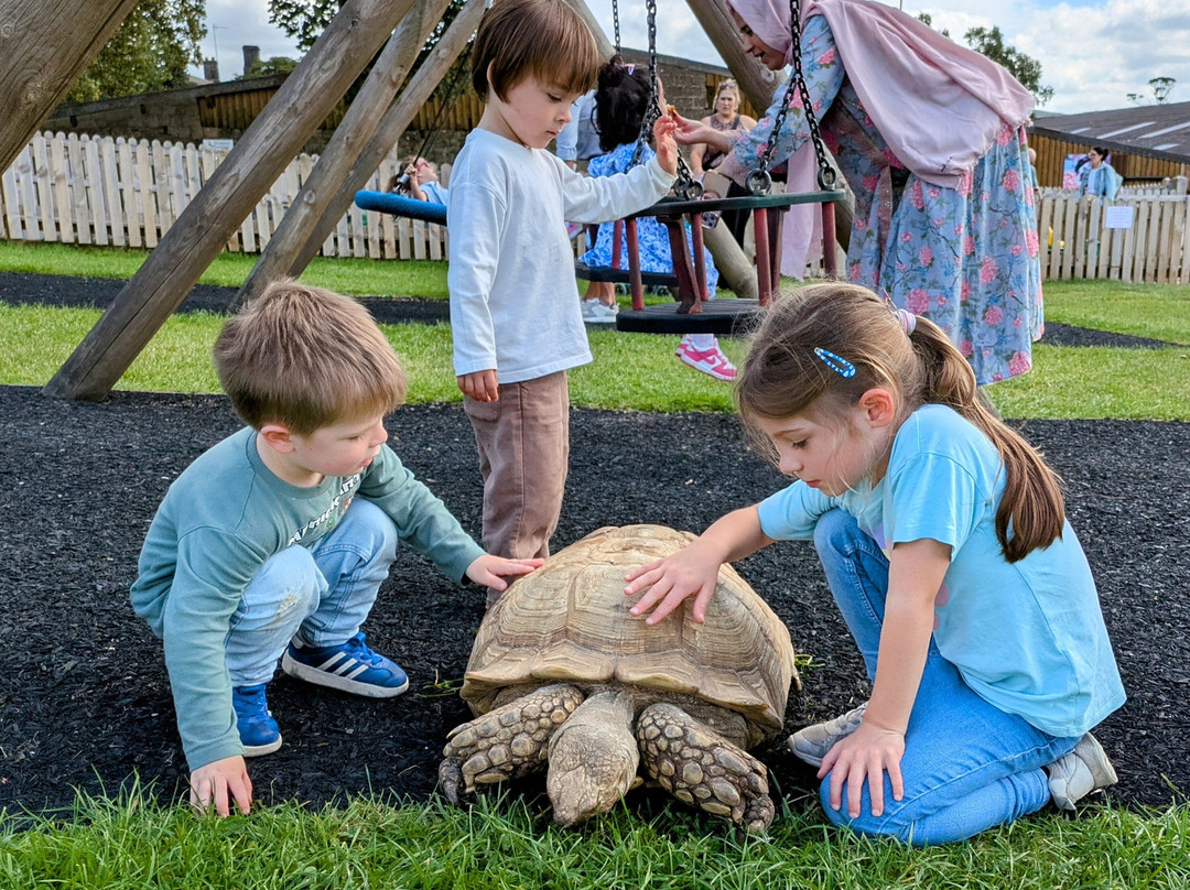 Hesketh Farm Park-斯基普顿必去景点