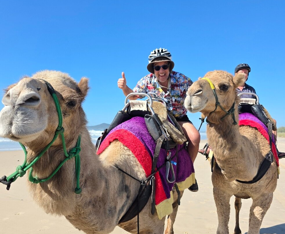 Camelot Camels & Noosa Camel Rides-Noosa North Shore必去景点