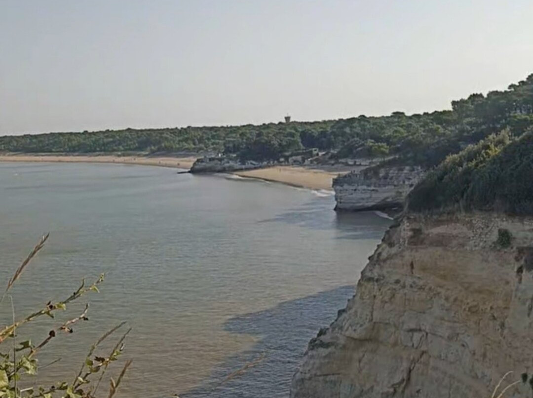 Pointe de Suzac-Saint-Georges-de-Didonne必去景点