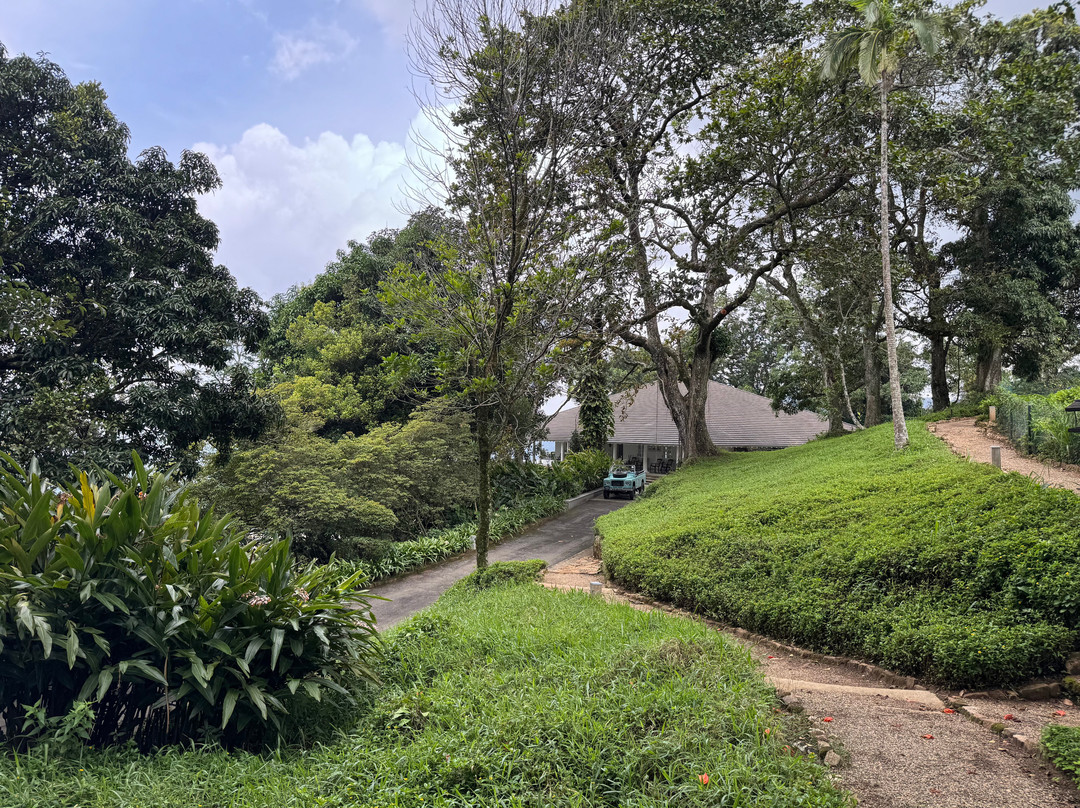 W15 Hanthana Estate Kandy主图