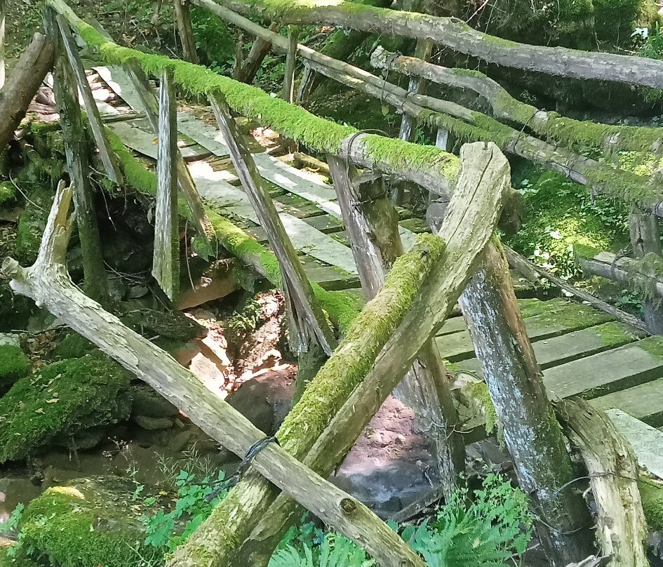 Grotta del Romito-Marradi必去景点