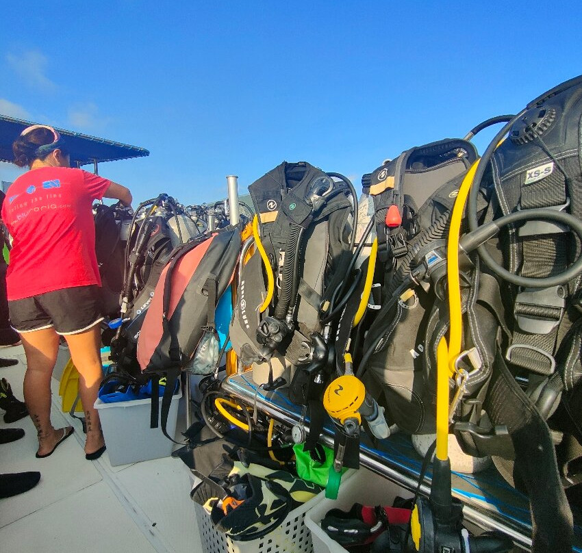 Bluforia Diving Center-Cala Gonone必去景点