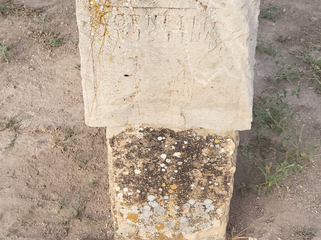 Bulla Regia-Jendouba必去景点