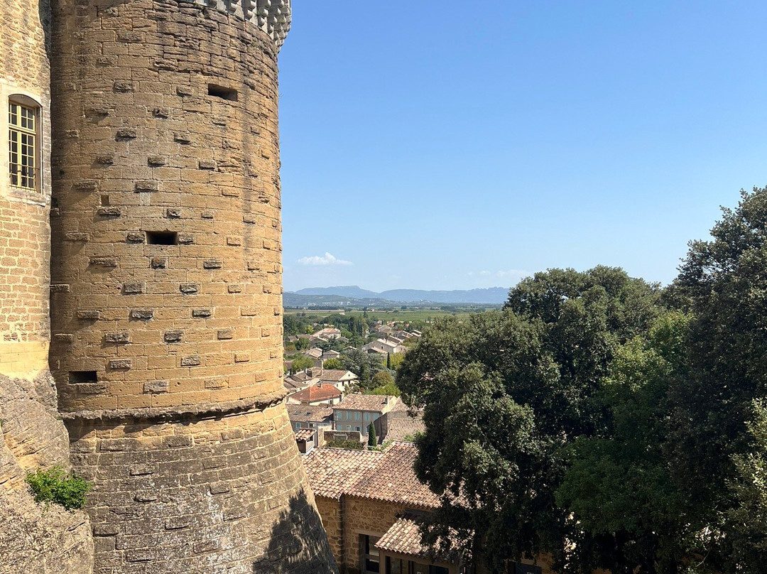 Chateau de Suze-la-Rousse-Suze-la-Rousse必去景点