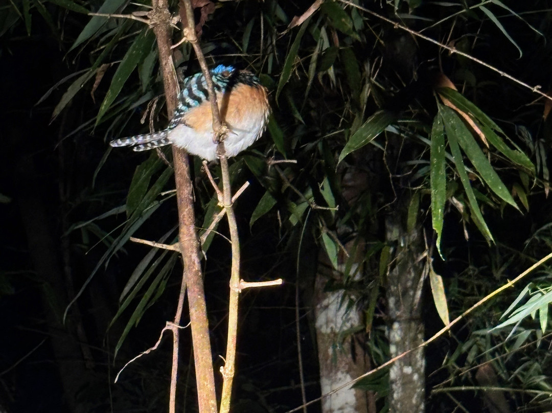 Cat Tien Eco Lodge Homestay-Nam Cat Tien必去景点