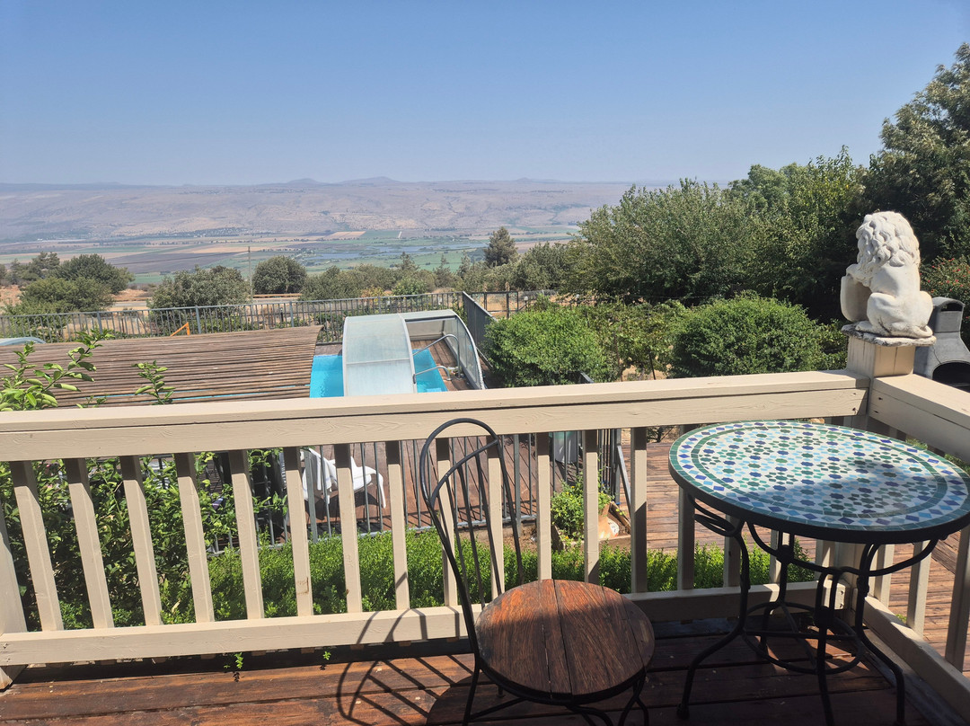 Naftaly Estate主图