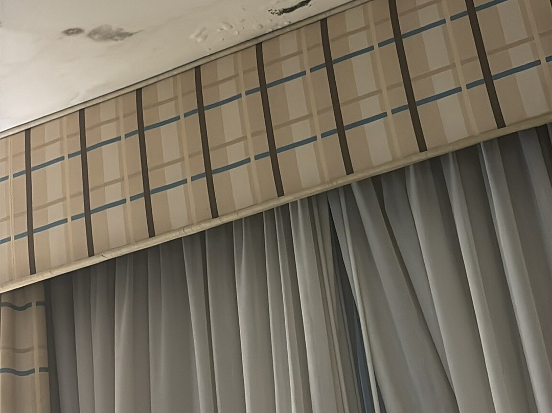 Country Inn & Suites by Radisson, Holland, MI主图