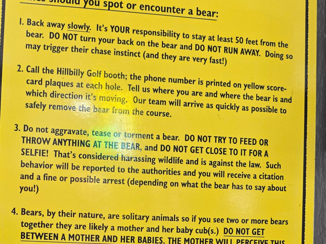 Hillbilly Golf-盖林柏格必去景点