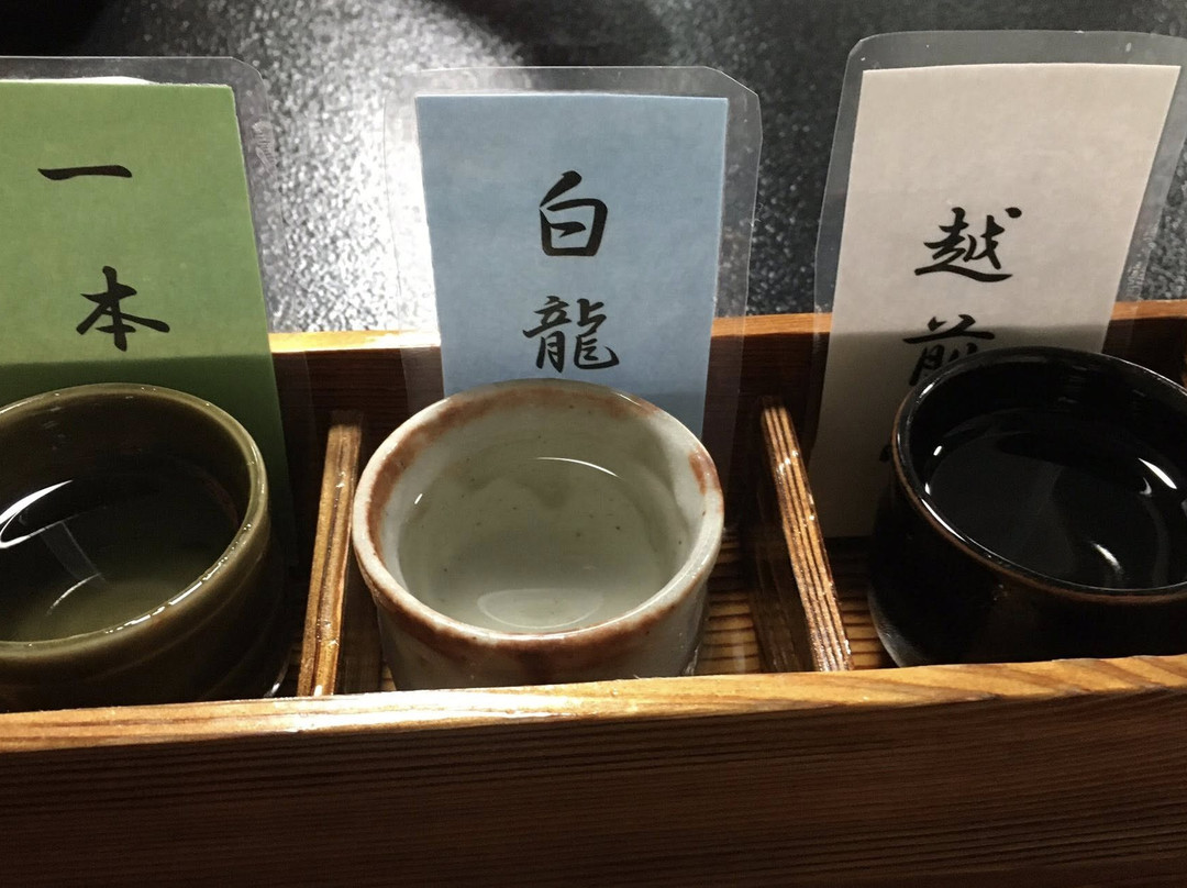 Echizentamagawa Onsen Hidetake主图