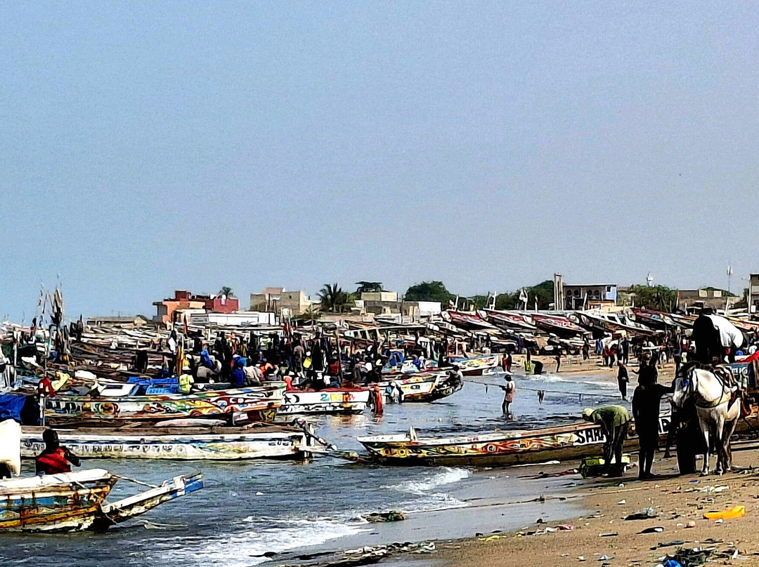 Excursions Départ Hôtel Riu Baobab-Ponto必去景点