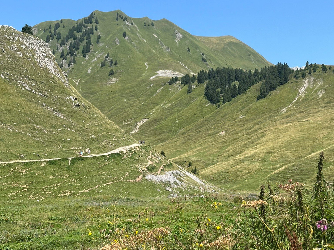 Refuge De Bise