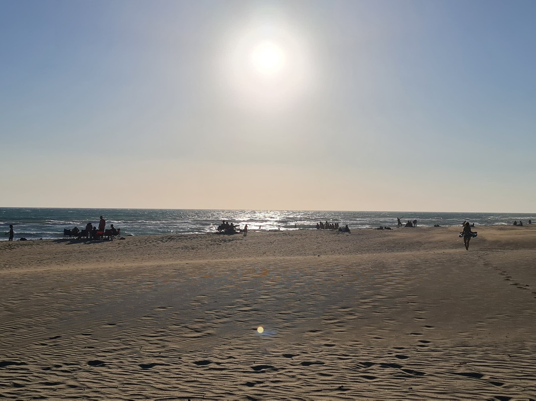 Patara Plajı-Patara必去景点