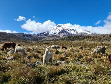 Tourexpress & Transfers-基多必去景点