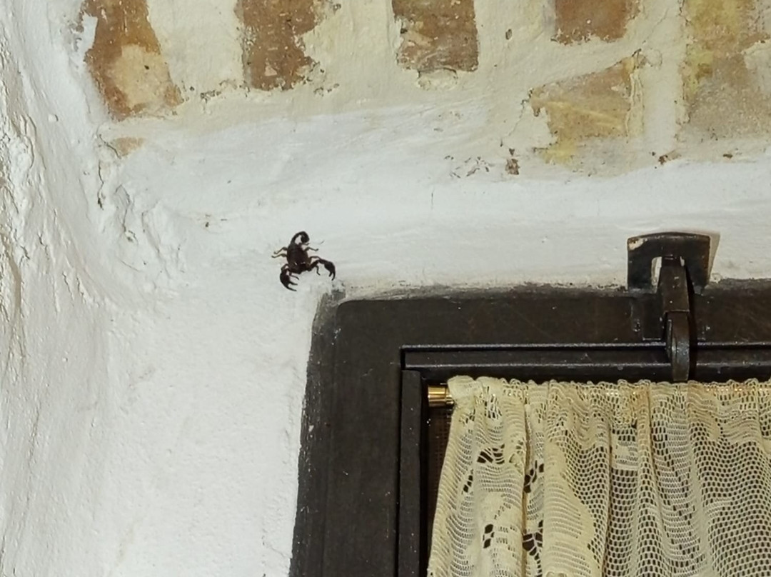 Il Ciavattone Bed and Bike主图