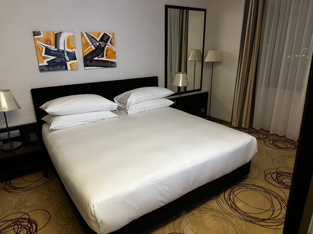 科希策希尔顿逸酒店主图