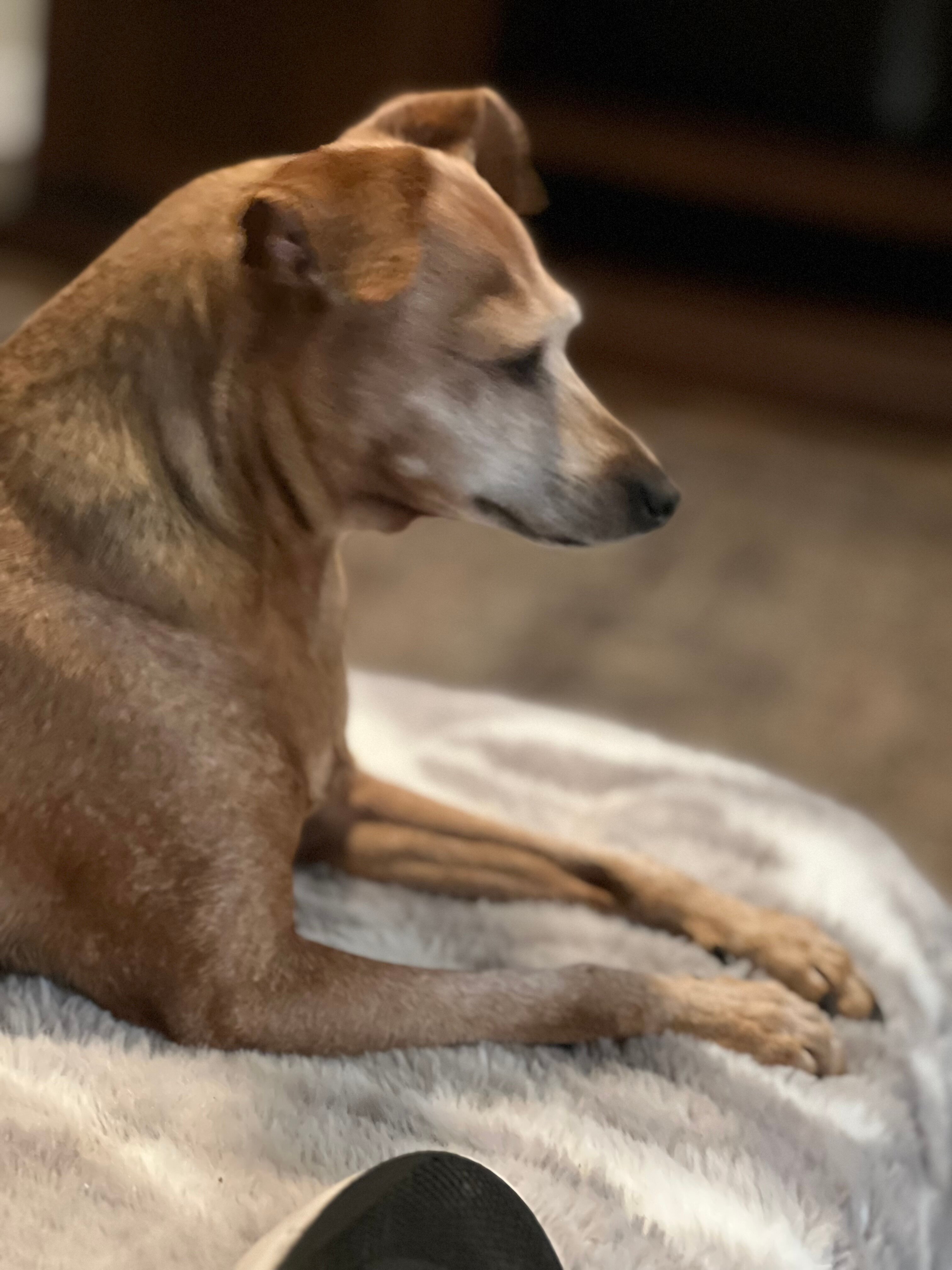 My Place Hotel - Kansas City / Independence, MO-浴室