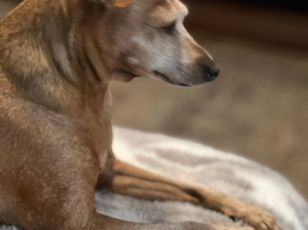 My Place Hotel - Kansas City / Independence, MO主图