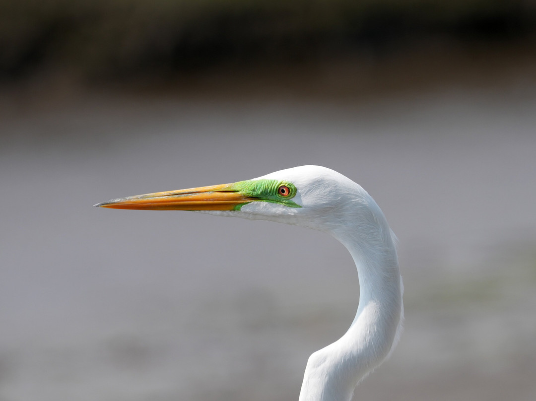INTERNATURA FRCR-Santo Domingo de Heredia必去景点