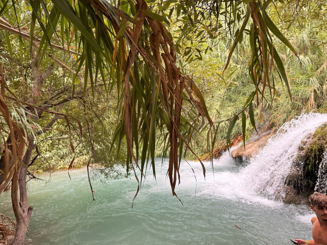 Fonts de l'Algar-Callosa d'En Sarria必去景点