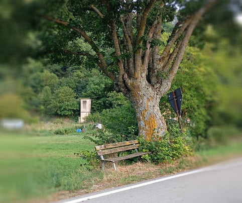 Castello-Fiuminata必去景点