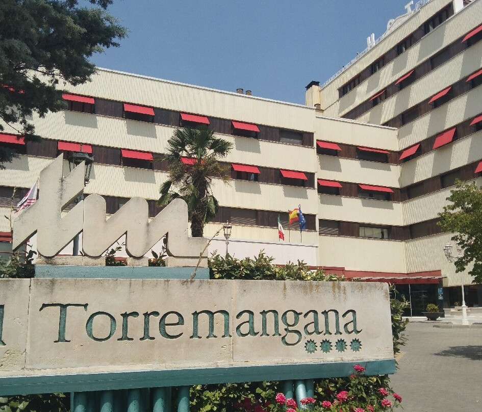 托雷曼加纳酒店主图