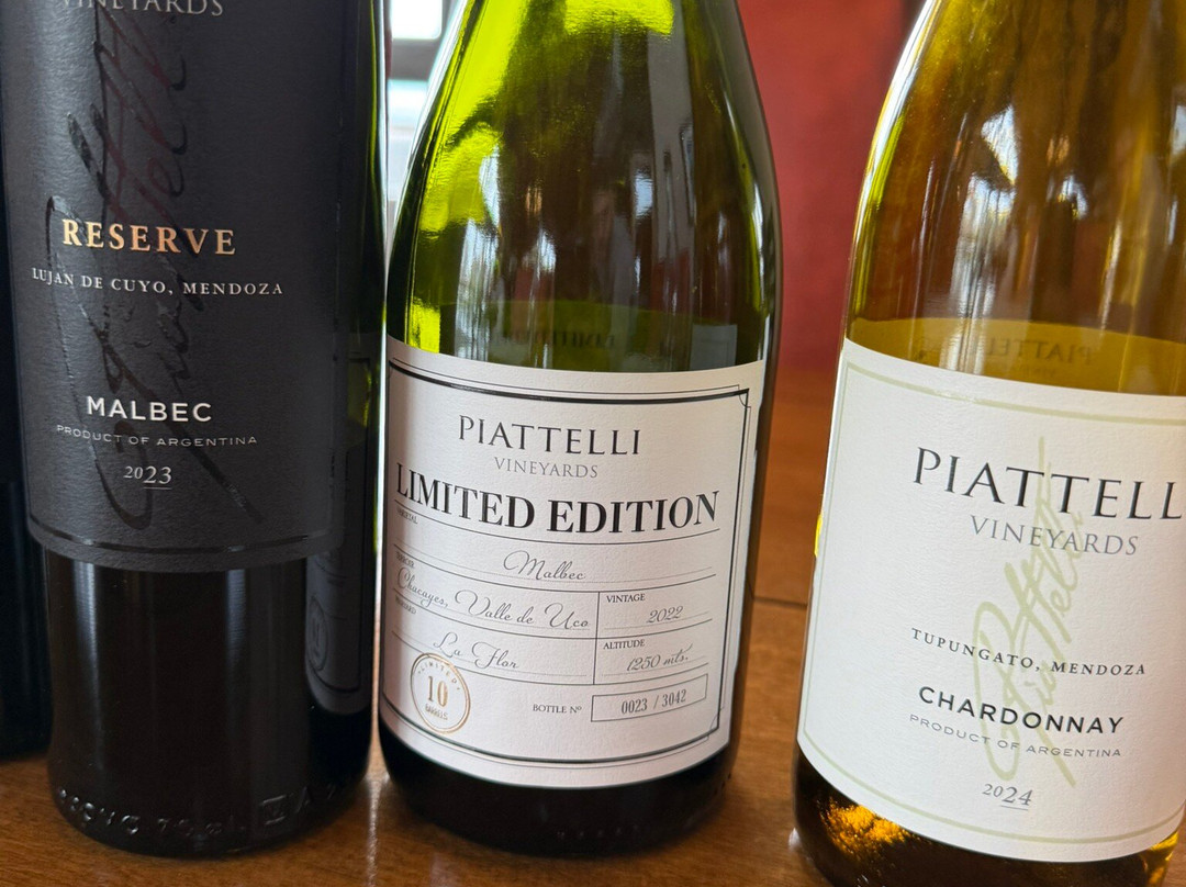 Bodega Piattelli Agrelo, Mendoza-阿格雷洛必去景点