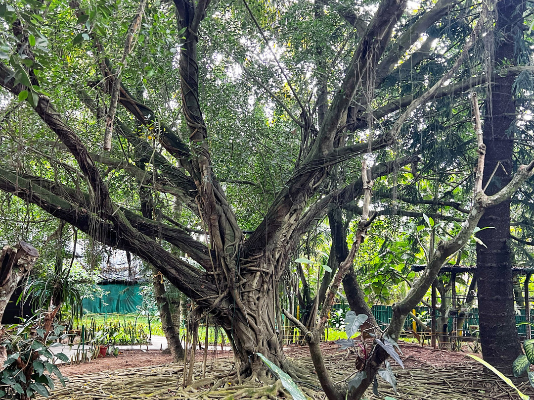 Hoysala Village Resort主图