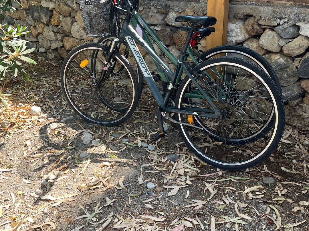 Mani by Bike-Agios Dimitrios必去景点