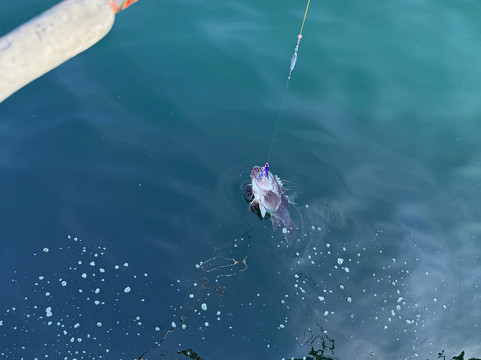 Seward Fishing Club-苏厄德必去景点